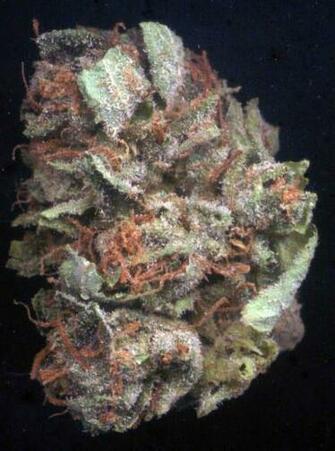 Purple Kush Wallpaper Hot Girls