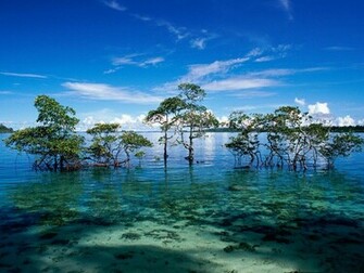 Island Wallpaper Islands Tropical
