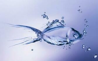 Pisces Water Wallpaper Top Background