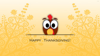 Surprised Turkey Wallpaper Holiday