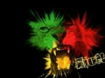 Rasta Lion Desktop Background