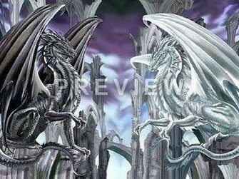 White Dragon Black Wallpaper
