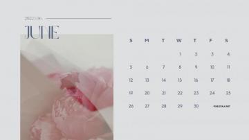 June Calendar Wallpaper HD Net