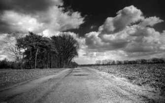 Black And White Background Wallpaper