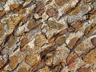 Stone Texture Y2dxxmkvp1iheyeg Wallpaper