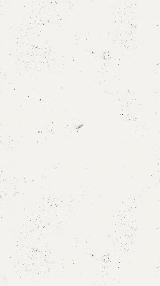 White Plain Wallpaper Aesthetic
