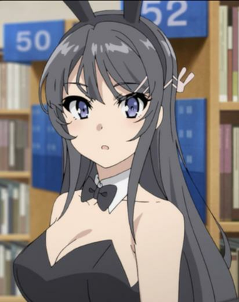 Mai Sakurajima Rascal Does Not Dream Of Bunnygirl Senpai