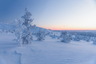 Nature Winter 8k Ultra HD Wallpaper