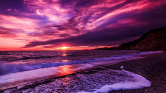Pink Beach Sunset Wallpaper