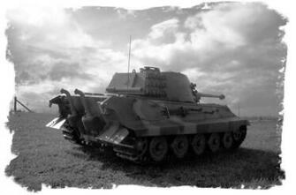 King Tiger