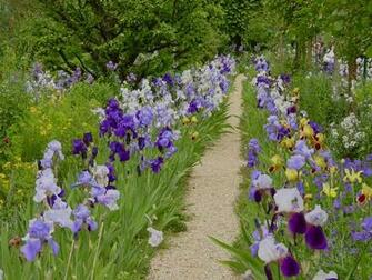 Garden Photo Of The Day Jul