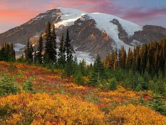 Paradise Mount Rainier HD Wallpaper Jpg