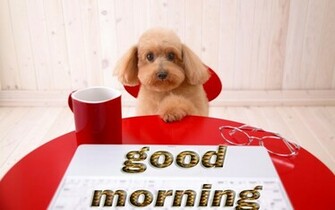 Good Morning HD Wallpaper Pictures