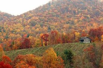 Southern Joy A Fall Masterpiece The Smokies