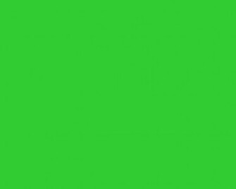 Green Solid Color Background And The Below