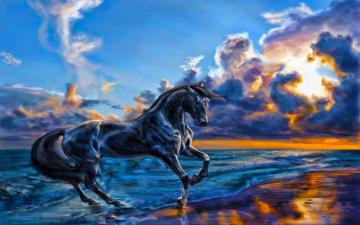 Best And Beautiful Image Net