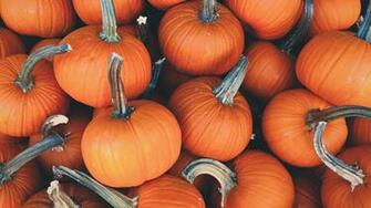 Wallpaper Weekends A Touch Of Pumpkin Spice For Mac iPhone iPad