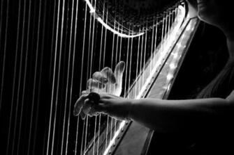 HD Wallpaper Grayscale Photo Of Person Playing Harp Concert