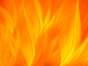 Orange HD Wallpaper And