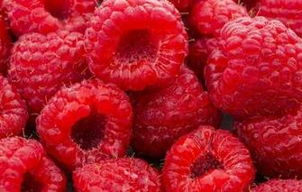 Wallpaper Berries Raspberry Background