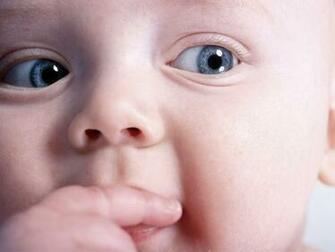 Very Cute Babies Wallpaper Stock Image