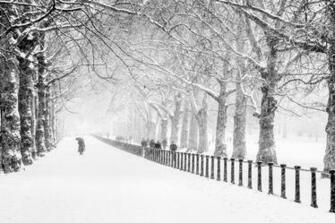 Winter Snow People Park City London Road Trees Wallpaper Background