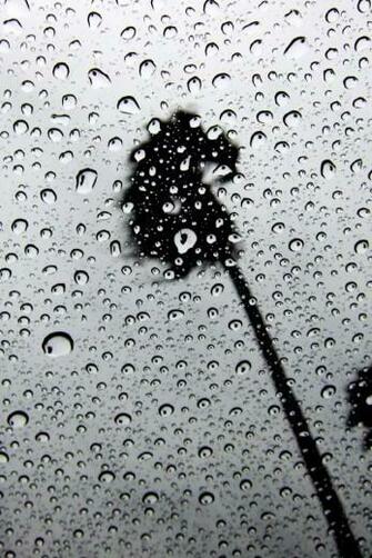 All Wallpaper Simply Beautiful iPhone Part