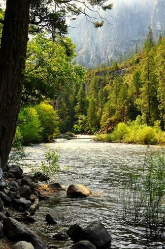 Forest River iPhone 4s Wallpaper iPad