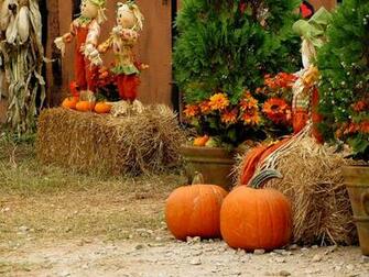 Fall Scenery With Pumpkins Sx230 Pumpkin Patch