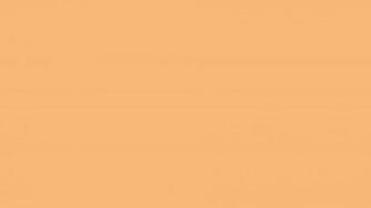 Mellow Apricot Solid Color Background