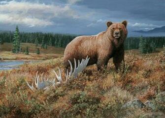 Big Grizzly Wallpaper