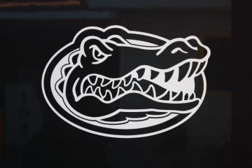 Gator Wallpaper For iPad Florida Gators Decal