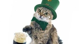Cat Of The Day Guinness Anti Gay St Patrick S Parade