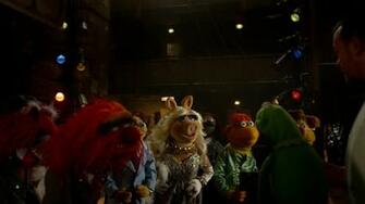 Miss Piggy Animal Kermit Muppets Most Wanted Movie HD Wallpaper