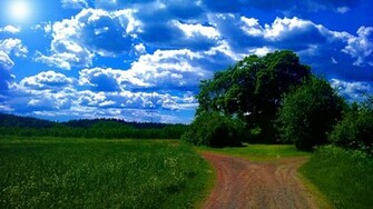 Widescreen Summer Wallpaper Most Popular