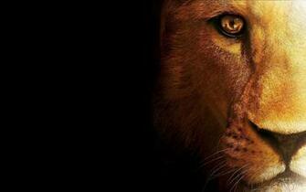 Lion Face Wallpaper