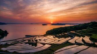 Japan S Rise Fields At Sunset 4k Wallpaper