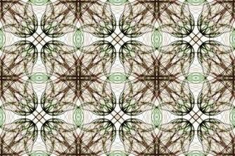Fractal Plane Symmetry Group