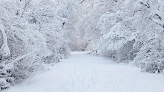 Snow Wallpaper Snowfall For Desktop
