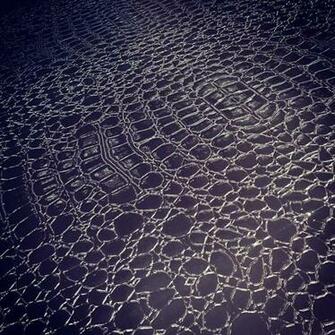 Custom Faux Alligator Skin Wallpaper We Designed And Produced
