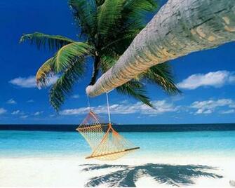 X Postcard Bora Palms Wallpaper