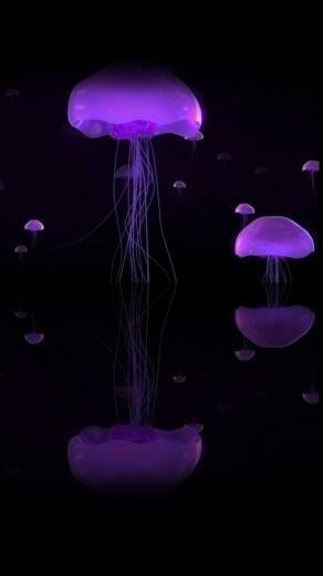 3d Nexus Wallpaper HD