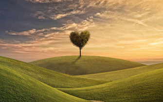 Romantic Nature Background Wallpaper