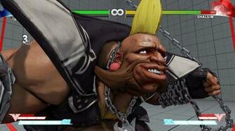 Street Fighter Birdie Moves List Vg247