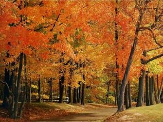 Illinois Country HD Wallpaper