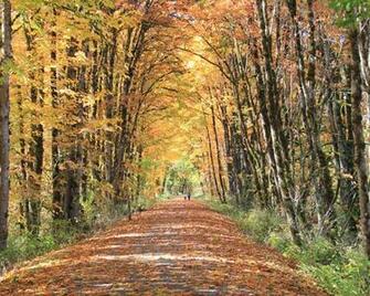 Wallpaper Rails To Trails Conservancy