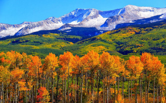 Autumn Colorado Fall Snowy Mountains Nature Landscape HD Wallpaper