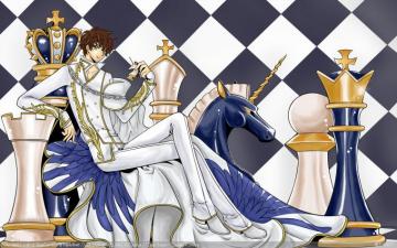 Kururugi Suzaku Code Geass Hangyaku No