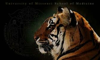 Mizzou Logo Wallpaper To