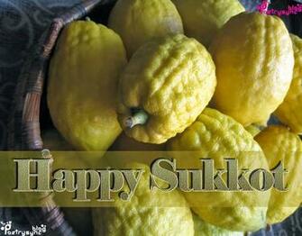 Best Pictures And Image Of Happy Sukkot Greetings